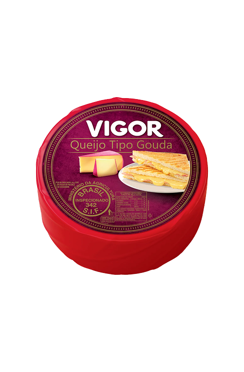 Queijo Tipo Gouda Forma Vigor – 2 unid (764643)